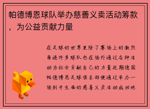 帕德博恩球队举办慈善义卖活动筹款，为公益贡献力量