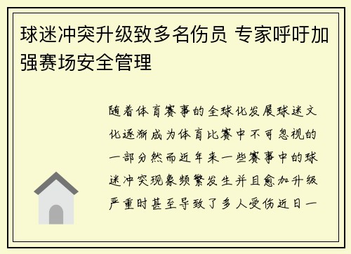 球迷冲突升级致多名伤员 专家呼吁加强赛场安全管理